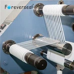 PTFE ফিল্ম প্রস্তুতকারক